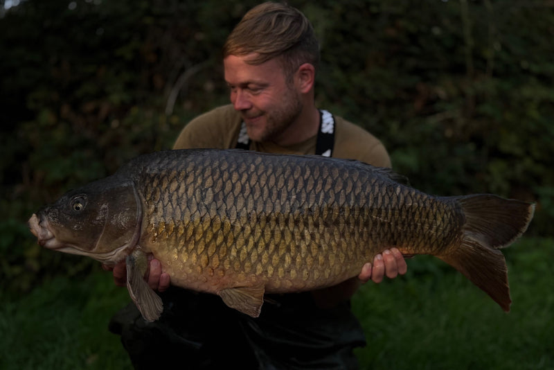 29lb 15oz Common caught by Tyler G.