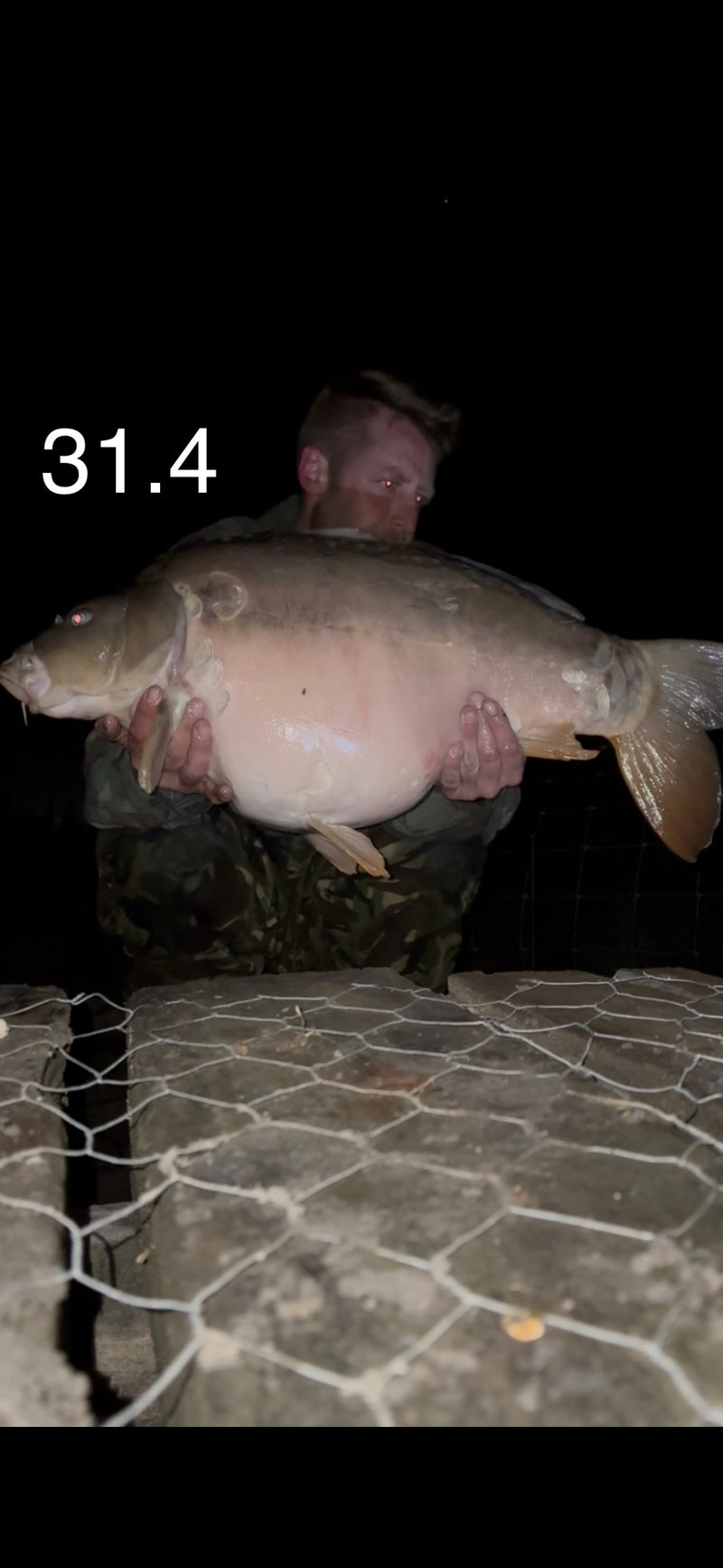 31lb 4oz Mirror caught by Scott T. at Big res